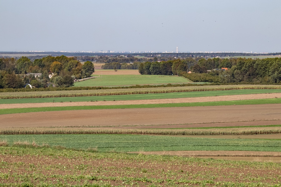 bd-lublin