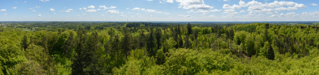 Panorama z Wieżycy na południe