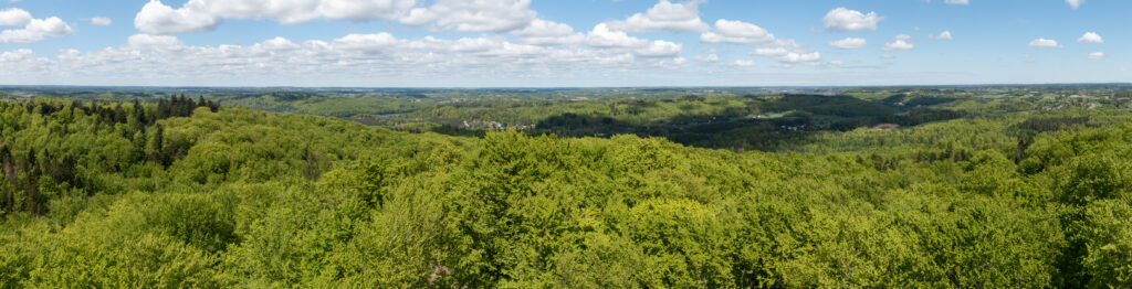 Panorama z Wieżycy na północ